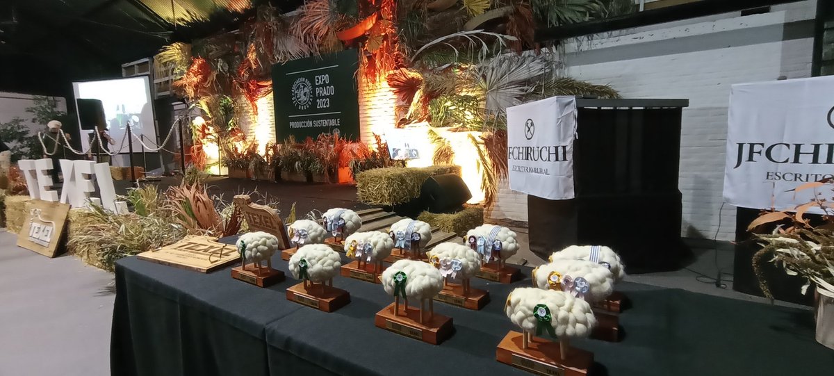 🗣️📣Finalizada la jura seguimos con actividades. Entrega de premios y remate de #larazaenconstantecrecimiento 
 🏆🎖️
📡📺📱 @campotv_tv 
👨‍⚖️ JF CHIRUCHI
📍 <a href="/ExpoPrado/">Rural del Prado</a>