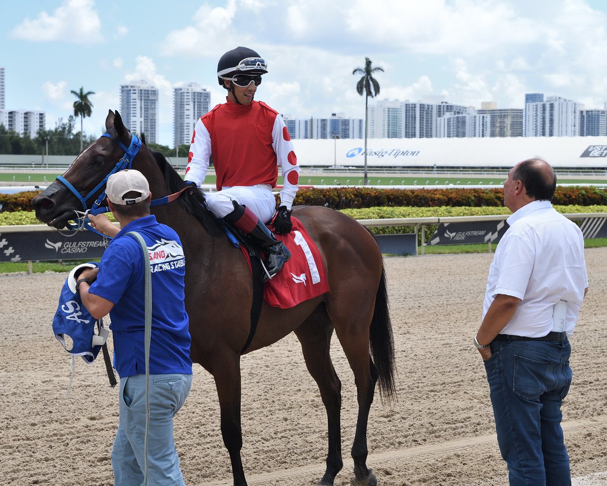 #9Sep Heaven in Mind Jockey: Edgard Zayas Trainer: Antonio Sano Owner: Cloud Nine Lumoni Starter Optional Claiming $35,000 • Tapeta 2️⃣nd victory for Antonio Sano #SunshineMeet Saturday, September 9, 2023 #GulfstreamPark 📸 @coglianesephoto