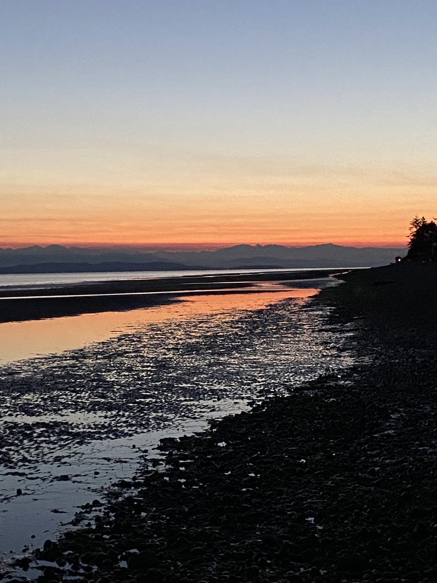 lynngerridog's tweet photo. Weโve had some rain, need more,and sunny days. Roses are still blooming and I think today will be my last morning on the beach as cloudy days are predicted. #SalishSea #VancouverIsland #fallisalmosthere https://t.co/OdVB3HqqaZ