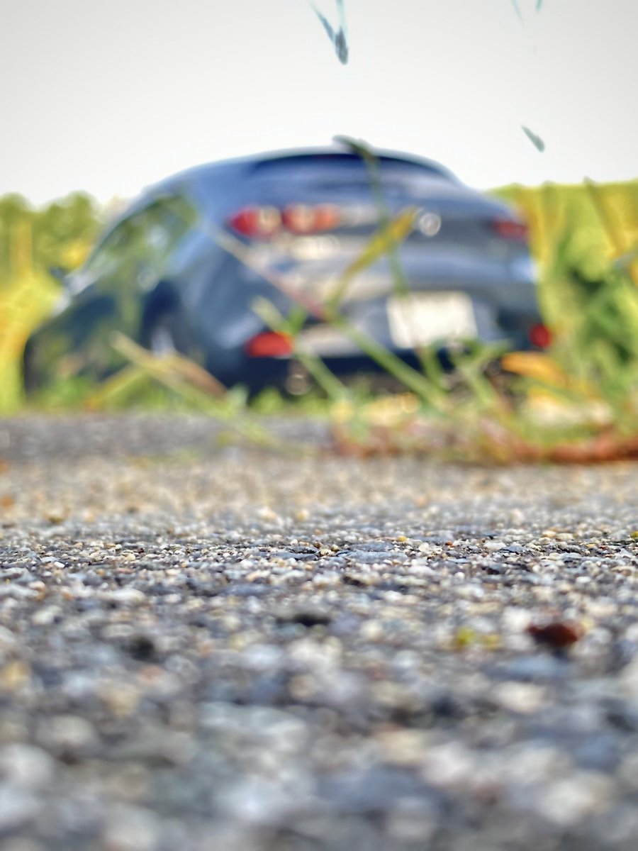 MiotMazda3's tweet image. 暑さで溶ける10秒前

#kobemazdaphoto80
#km2023summer  #mazdagram #kobemazdagram 
#マツダグラム 
#神戸マツダグラム
#withMazda
#Mazda3