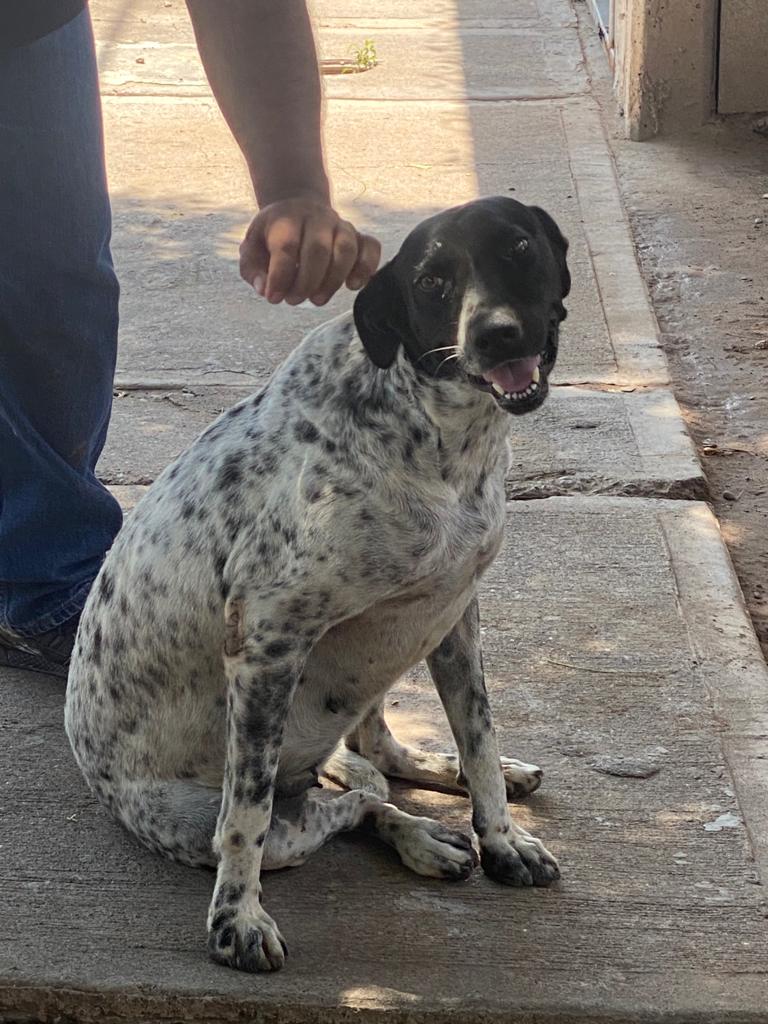 difuminador's tweet photo. Esta muñeca se llama Luna... Lamentablemente no tiene casa... ¿Quién se anima a adoptarla? https://t.co/NUQVf0p3p2