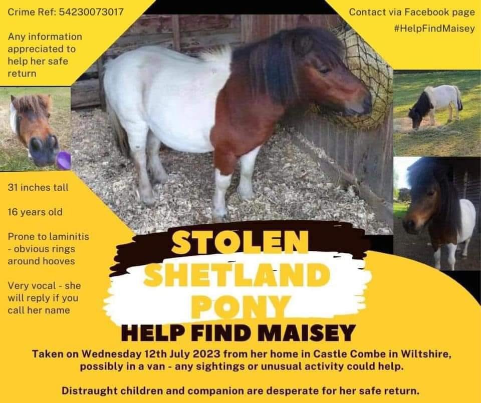 PDRescue's tweet image. Elderly Maisey was stolen in July. Please RT all areas &amp;amp; like her facebook page:

facebook.com/profile.php?id…

doglost.co.uk/dog-blog.php?d…

#horsechat #ponychat #equinechat @MissingPetsGB @HunnyJax @pettheftaware @SAMPAuk_ @rosiedoc666 @horseandhoof