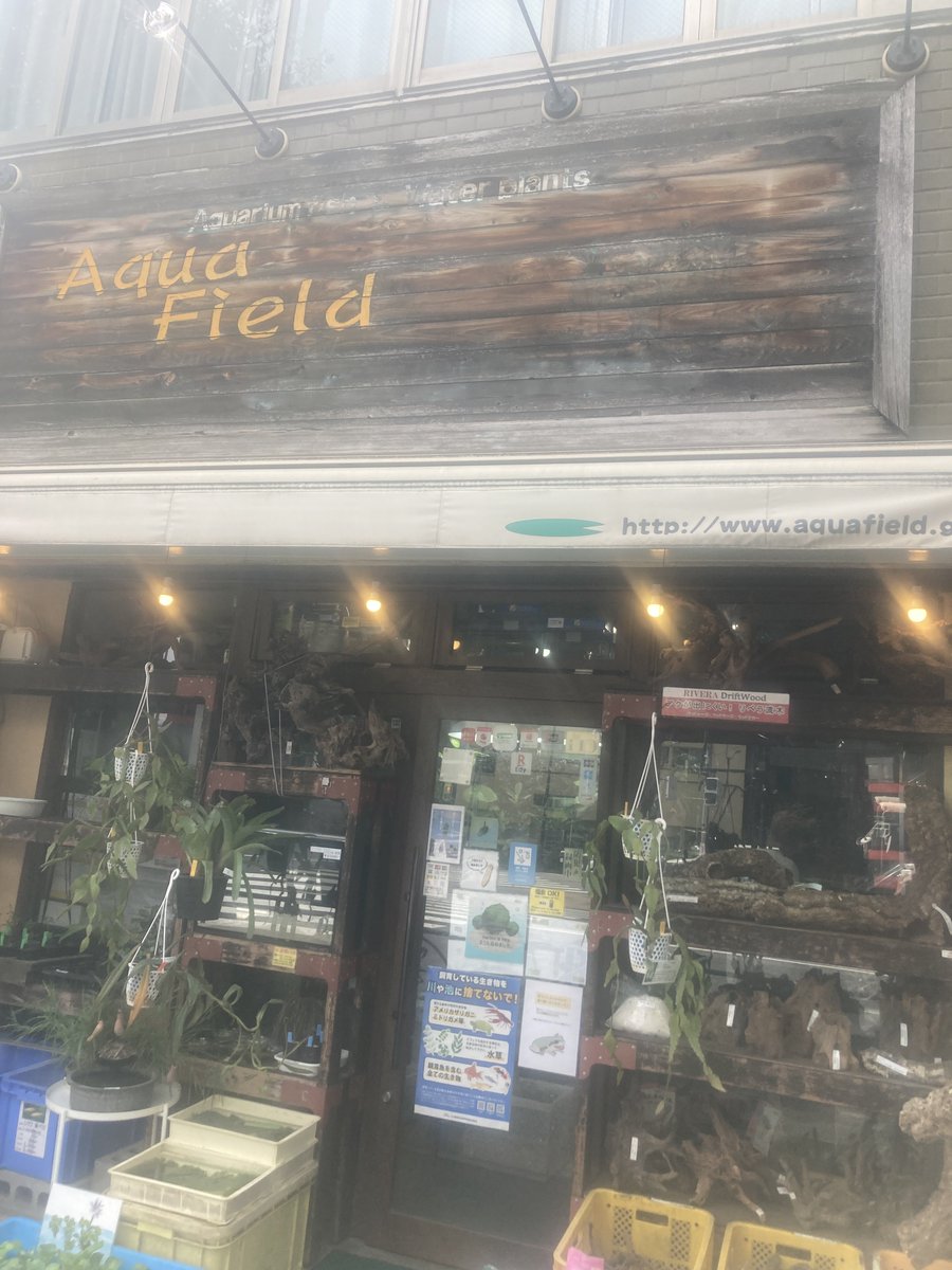 tokotomo3207's tweet photo. 行ってみた。
昔ながらのお店で用品の品揃えが良い。
お店の人も丁寧に対応してくれた。
#AquaField https://t.co/XScOKb1eL5