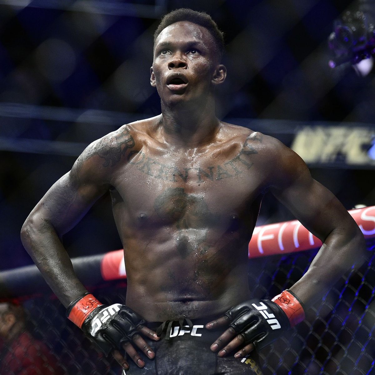 Book Sean Strickland vs. Dricus Du Plessis next.

Book Israel Adesanya against the winner of Khamzat Chimaev vs. Paulo Costa.

Does anyone disagree with this matchmaking?🤔

#UFC293 #UFC #MMA