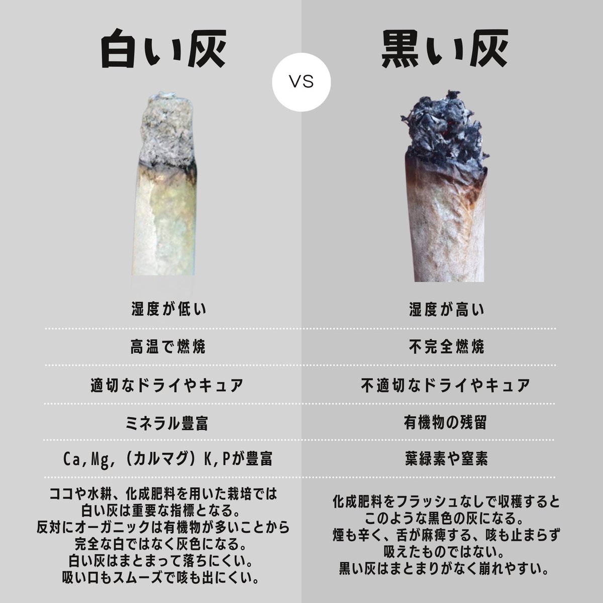 忘れた人の為にも答え置いときます。
灰の色は様々な要因がありますが、有機栽培(オーガニック)以外では白い灰は一つの目安となるでしょう。
ワイも昔は灰の色のなんて関係ないって思ったけど全然違うから。
大事なことはプロフィールに書いてます。