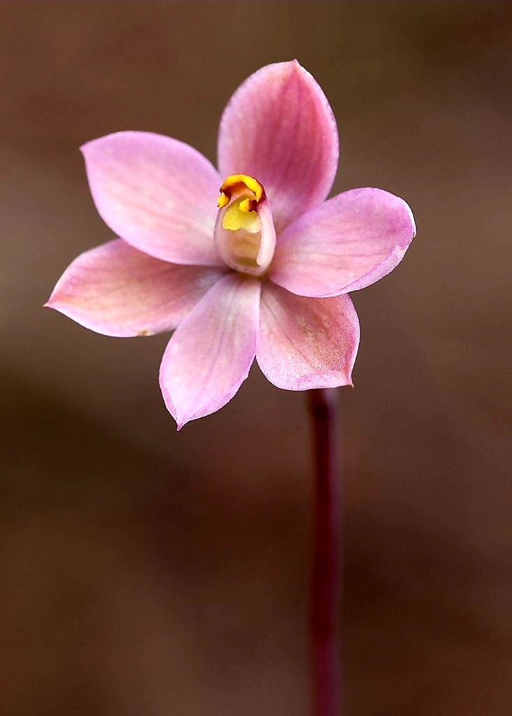 <a href="/KN_IndrePal/">DR. KN INDREPAL</a> 
🌸 　 　　 　 ·🌸
 　 ˚ * .🌸
 　 　　 *　　 * ⋆ 🌸　 .
 · 　　 ⋆ 　🌸　　 ˚ ˚ 　　 🌸
 　 ⋆ 🌸· 　 *
 　　　　 ⋆ 🌸　 　 · 　 🌸　🌸
 　 · 🌸
💕