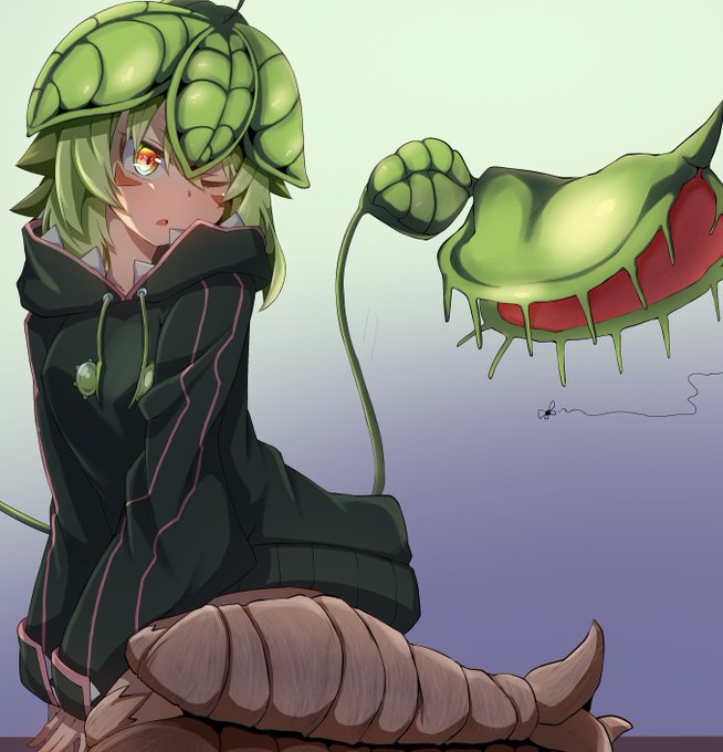 ほぼ毎日うちの子            
489枚目  ディオネさん

ハエトリ中 