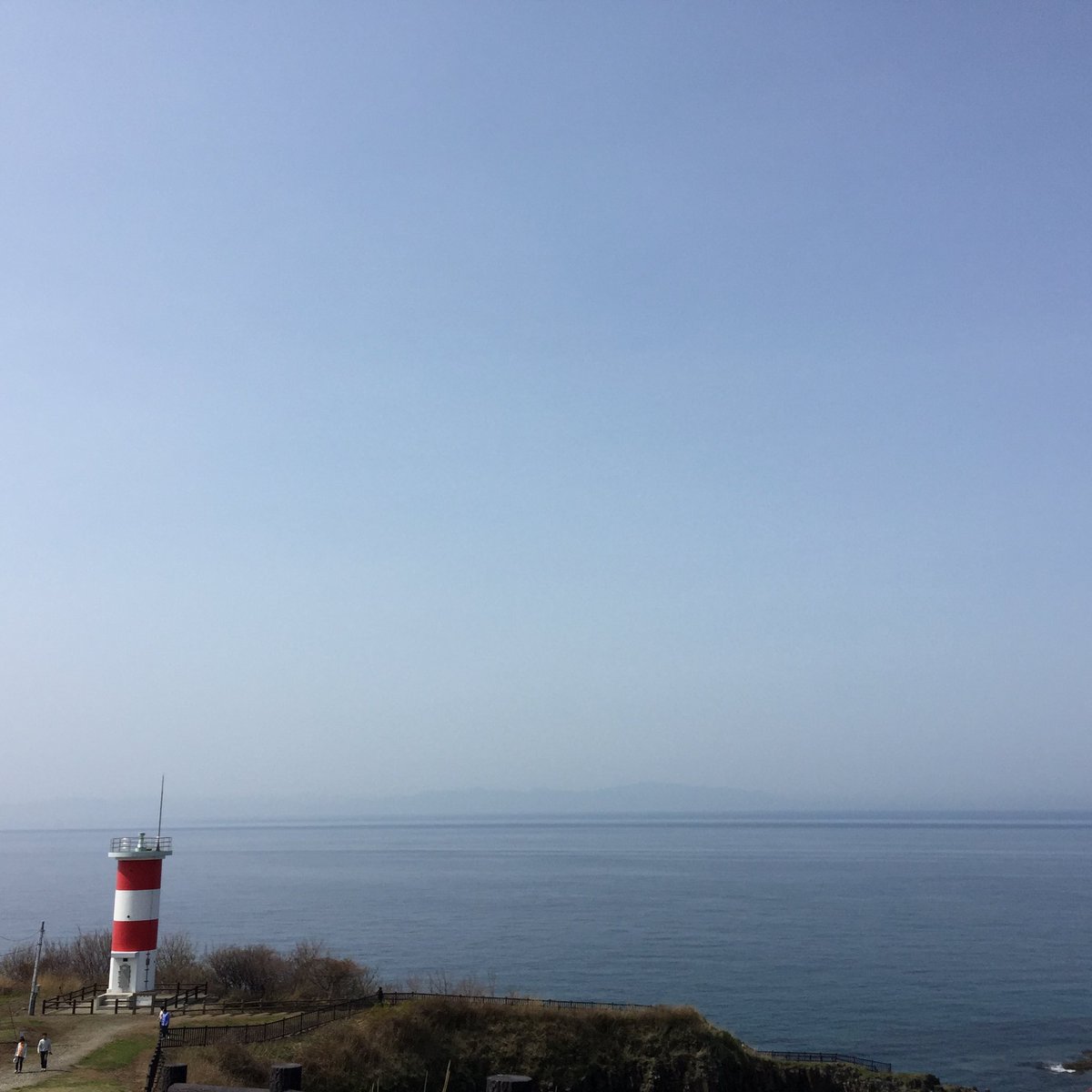 もええ tweet media