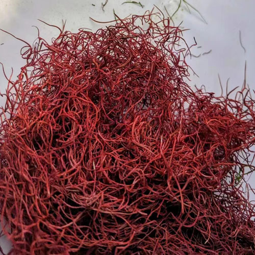 OEM Factory Natural Realistic Greenery Moss Spanish Moss Plants Decoration Hanging Vines Moss