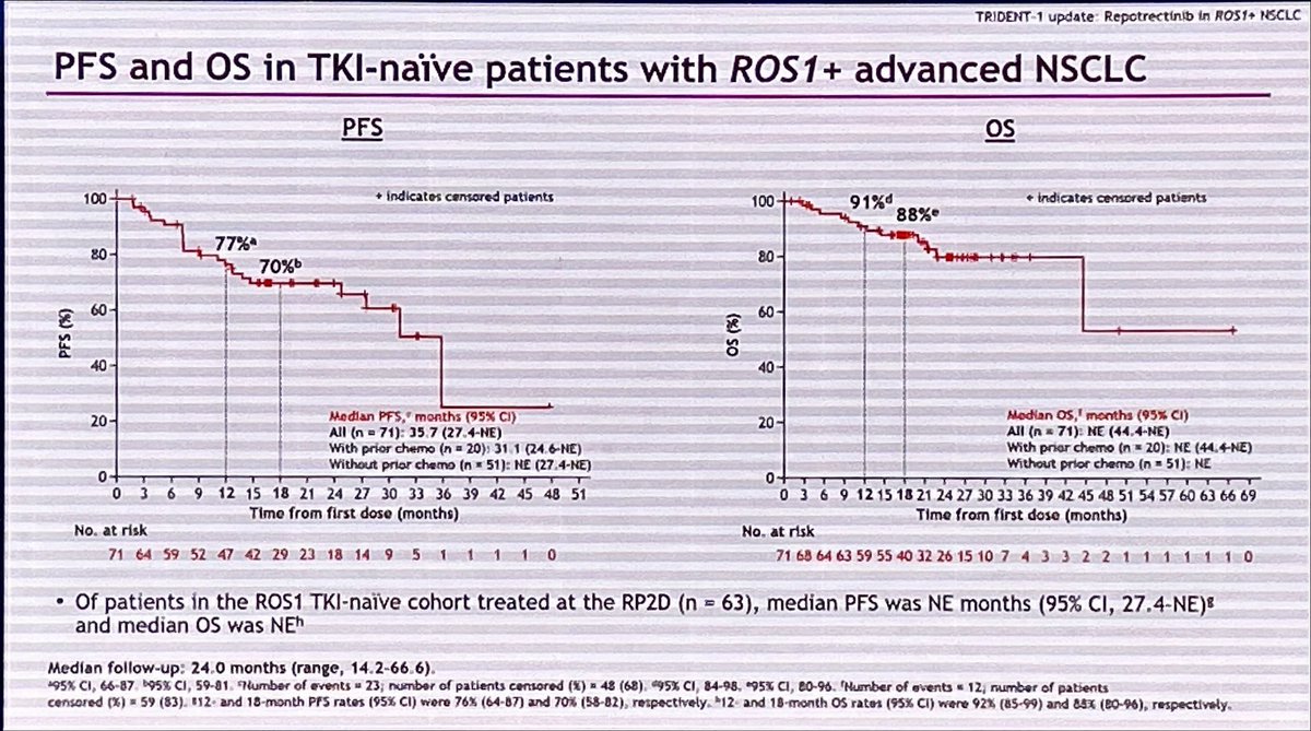 Jordi Remon tweet media