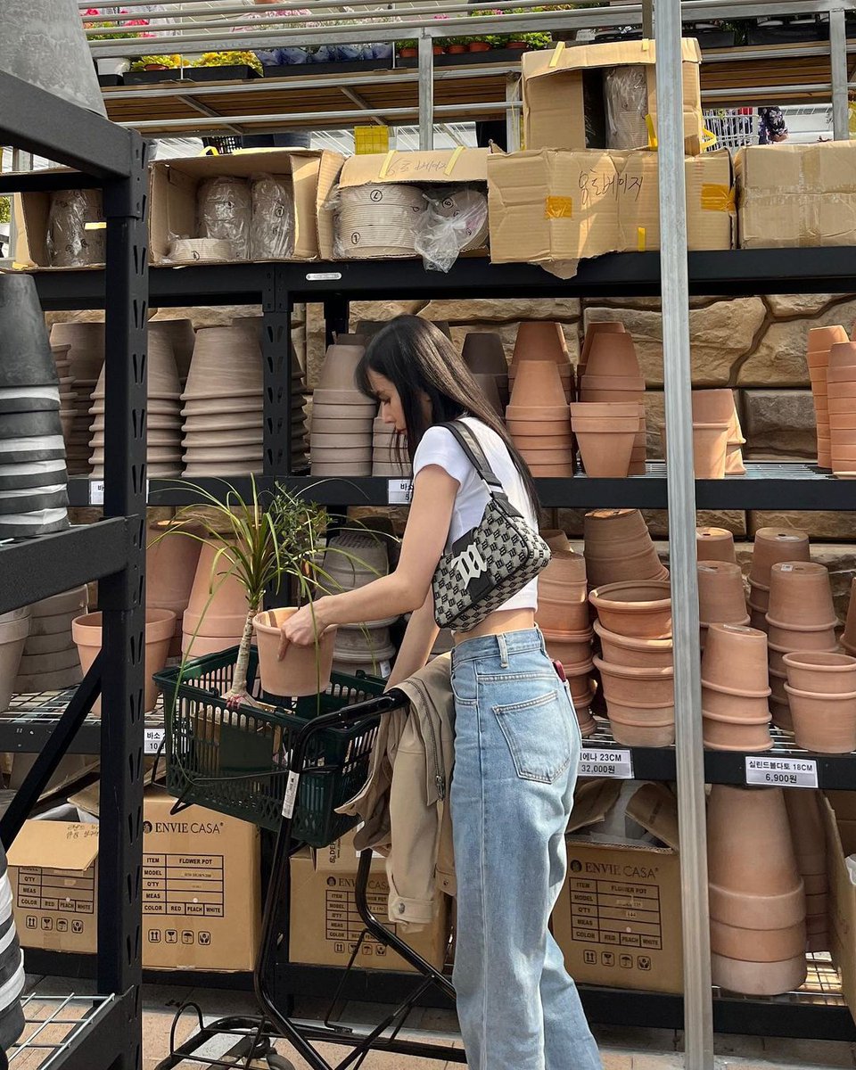 In my quest for morning productivity, I roamed around in search of the perfect plants to adorn my home. I ended up with mini cacti and a few other varieties. The lush greeny is truly a sight for sore eyes, offering a refreshing touch to my space.
