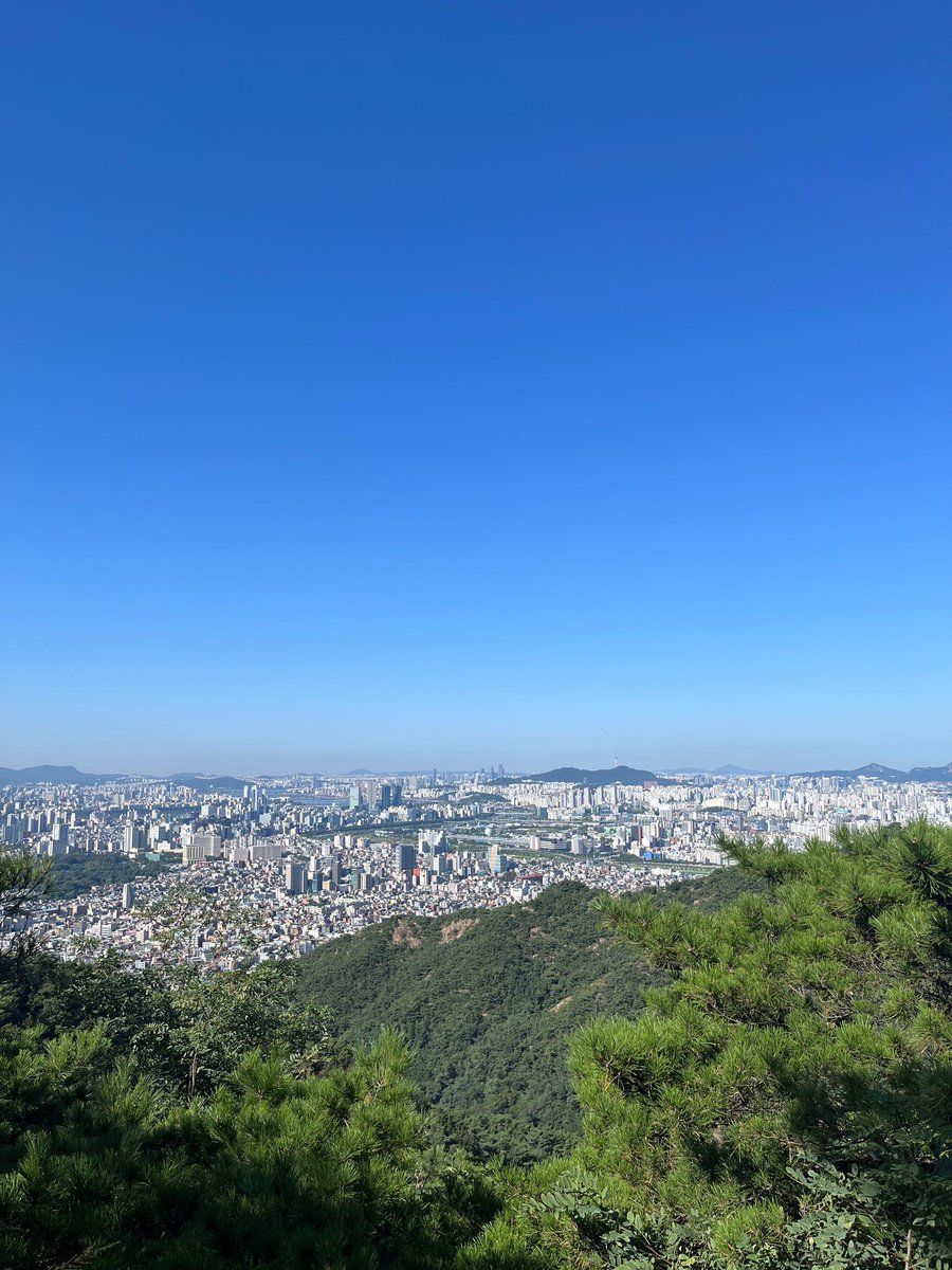 Where the whispers of trees and the rustling leaves become your soothing companions. Disconnect, breathe deep, and find your inner peace amidst the serene beauty of the forest. #ForestTherapy #NatureHeals