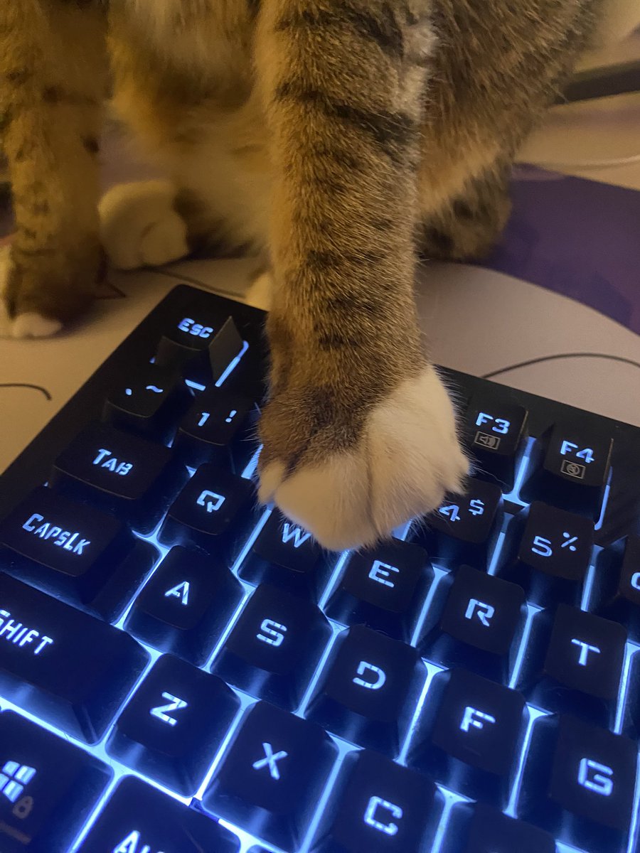 elliezub's tweet photo. He even helps me write the code🥹🥹🥹🥹 https://t.co/zOSXaij5Eb