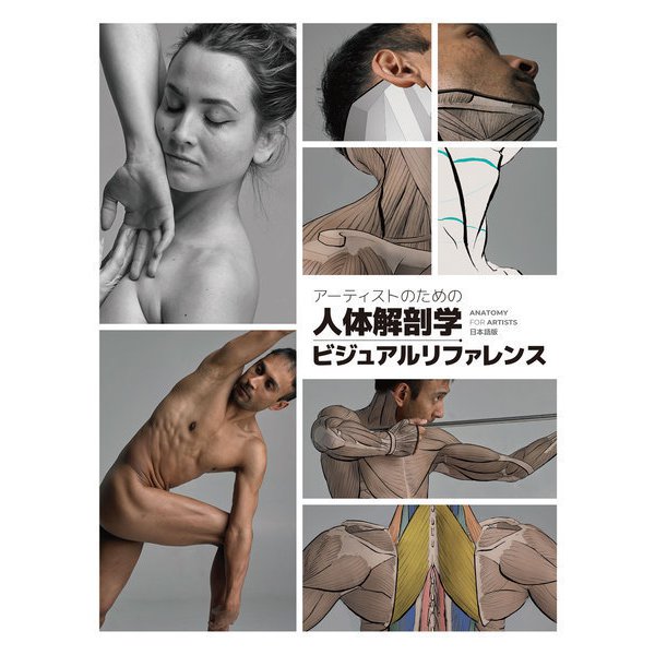 そういえば先月末 電子版(Kindle&Rakuten&紀伊國屋書店&ヨドバシ)がリリースされたみたいですよ 有難き! 「アーティストのための人体解剖学ビジュアルリファレンス」 https://3dnchu.com/archives/anatomy-for-artists-jp/ 「アーティストのための人体解剖学:ドローイング – フォーム&ポーズ」