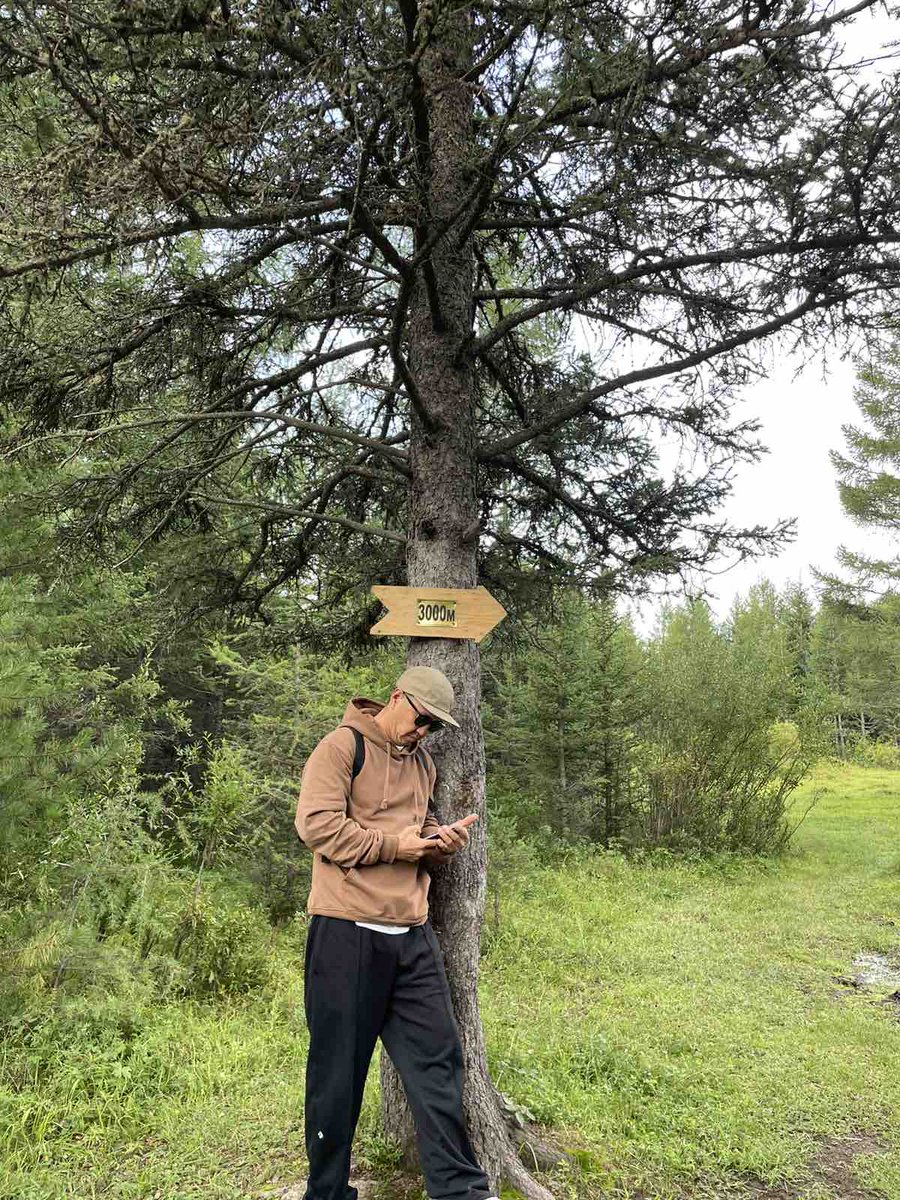 Богд уул юмаа