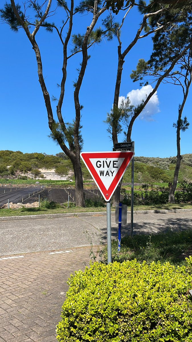 Meanwhile in Port Botany