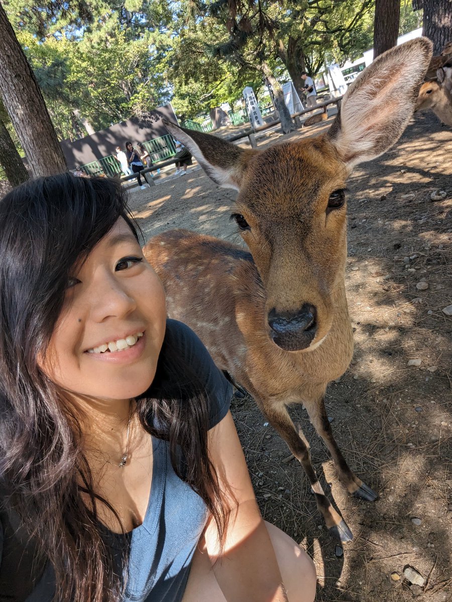 ezeegamex's tweet photo. On honeymoon in Japan (backpacking around) and it's been a blast so far :) 1 more week to go https://t.co/byfDFBH1J5