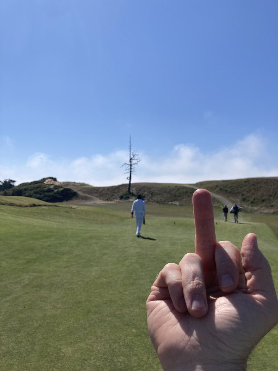 theGMPI's tweet photo. Today I hit an amazing drive that somehow hit the very top spike of the legendary “ghost tree” on Old Macdonald. And that’s how my day went. AP https://t.co/Ot0bYrc4LN