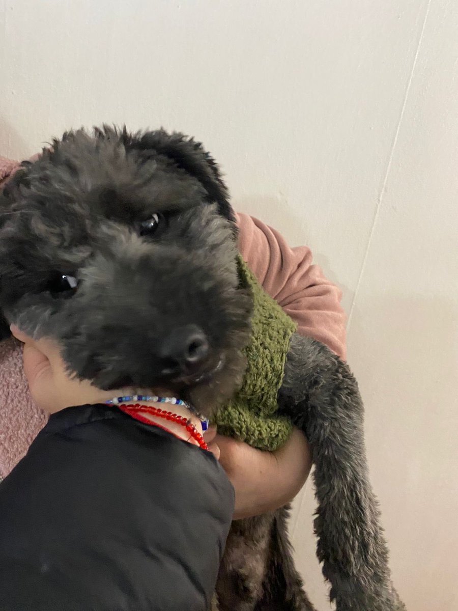 #SoyBartorell tweet media