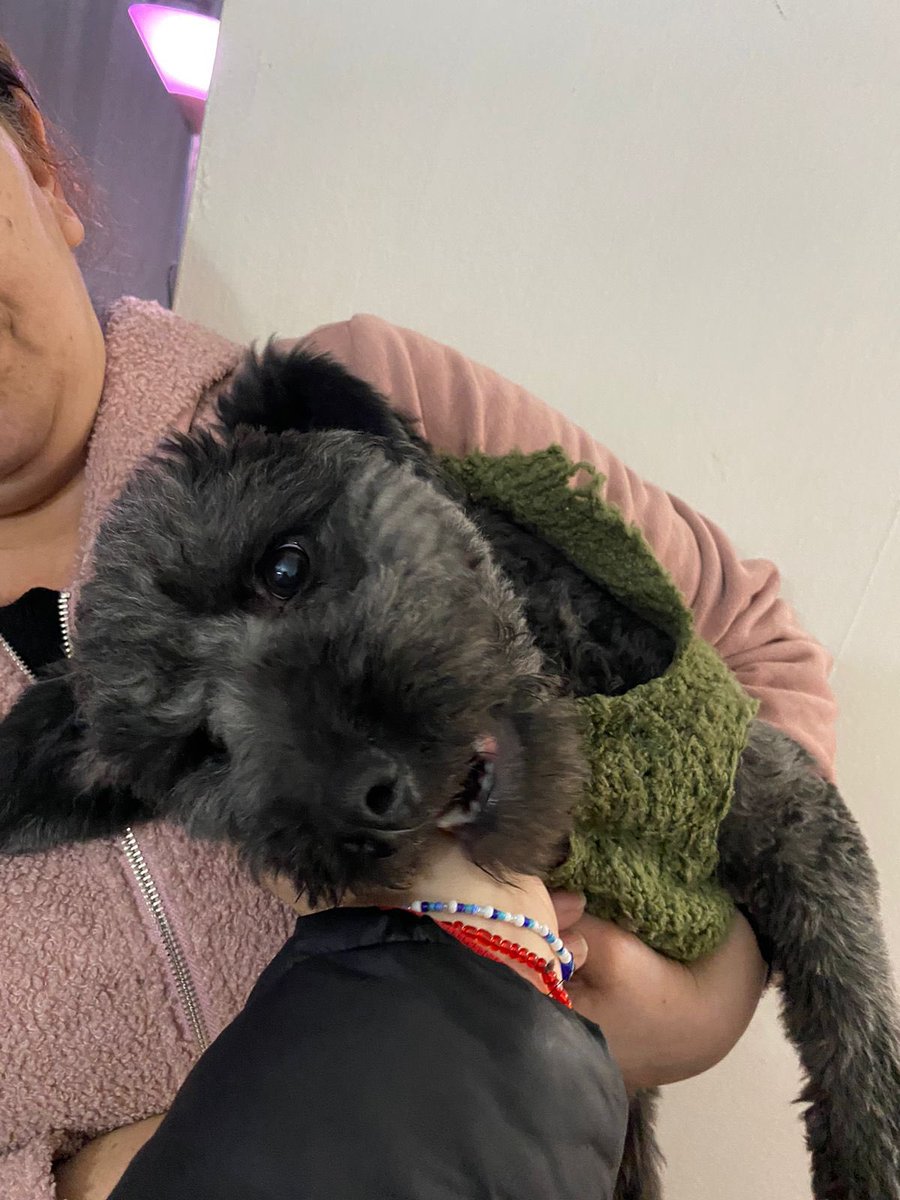 #SoyBartorell tweet media