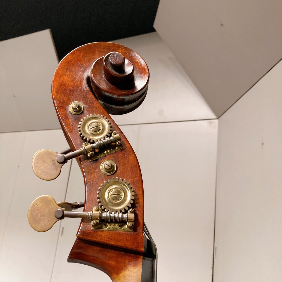 弦楽アンサンブルやるよ