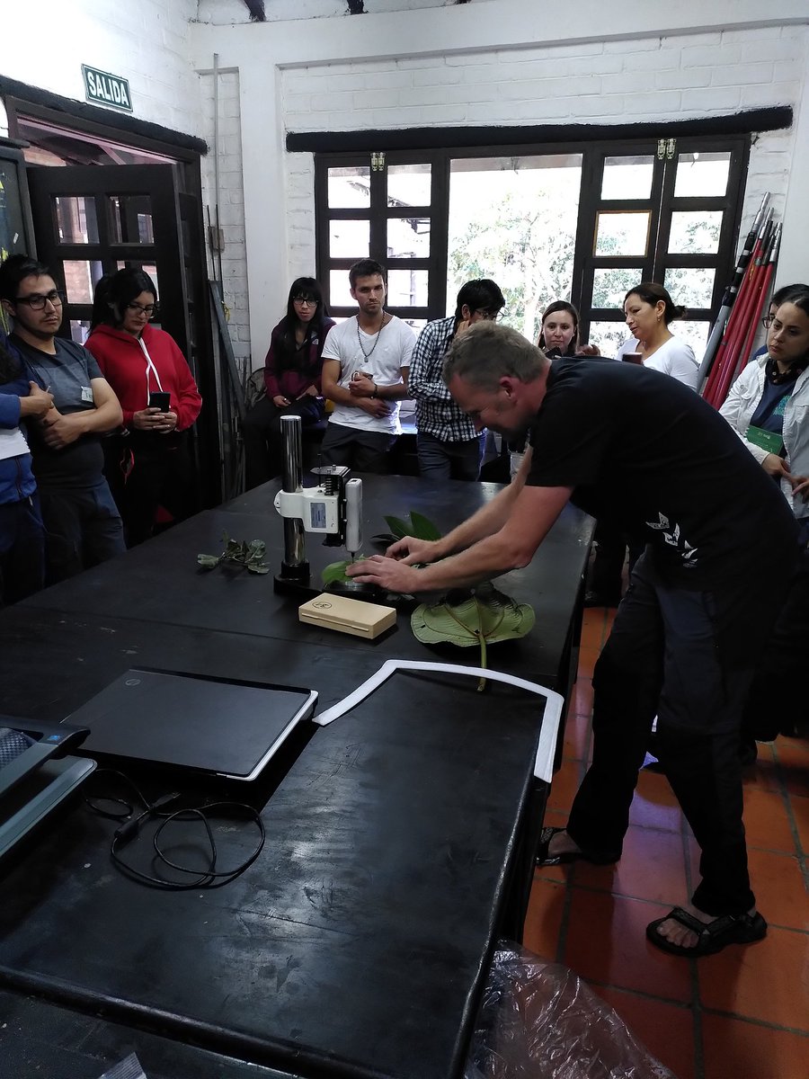 Hans Verbeeck (@hans1verbeeck) on Twitter photo First day of our field course in Southern Ecuador on functional traits in tropical montane forest was a succes! <a href="/VLIRUOS/">VLIRUOS</a> <a href="/SeleneBaez15/">Selene Baez</a> <a href="/XimenaPalomequ2/">Ximena P.</a> <a href="/HomeierJ/">JHomeier</a> <a href="/FbwUGent/">Faculty of Bioscience Engineering UGent</a> @CAVElab_UGent First day of our field course in Southern Ecuador on functional traits in tropical montane forest was a succes! <a href="/VLIRUOS/">VLIRUOS</a> <a href="/SeleneBaez15/">Selene Baez</a> <a href="/XimenaPalomequ2/">Ximena P.</a> <a href="/HomeierJ/">JHomeier</a> <a href="/FbwUGent/">Faculty of Bioscience Engineering UGent</a> @CAVElab_UGent