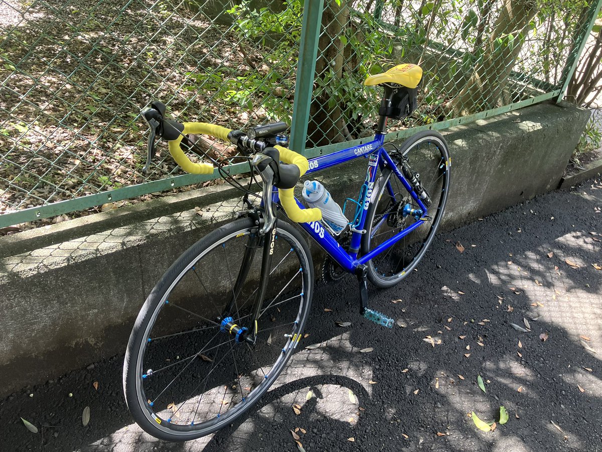 Pockn's tweet photo. 自転車で調整ポタリング途中、雅な場所に迷い込んでしまった♪#キナコ #招き猫スタジオ #猫 #オールドレンズ #FD55mm #FL50m #ロードバイク #ゆるぽたレンズくらぶ #ぽたレン #canon #GIOS #町田薬師池公園 https://t.co/brVqJPGMj2