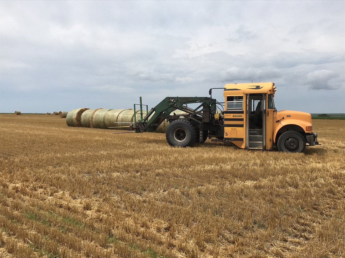 Auction Time Dallas tweet media