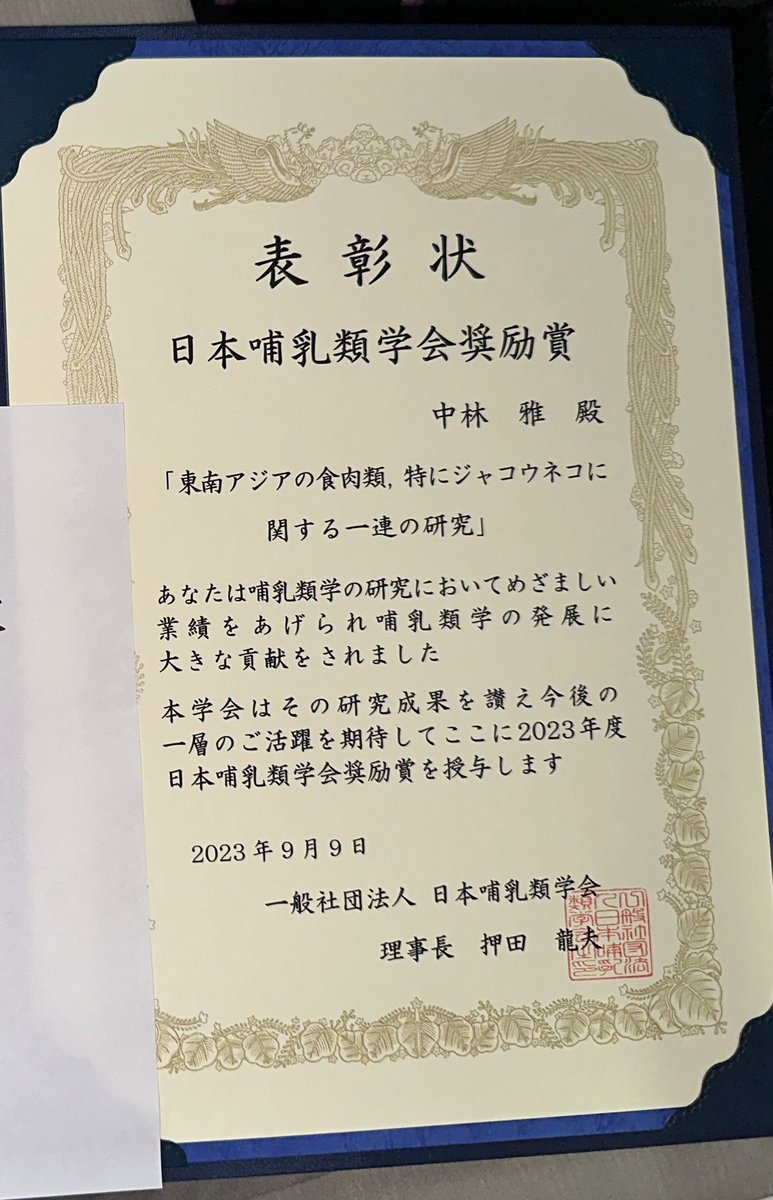 中林雅 Miyabi Nakabayashi tweet media