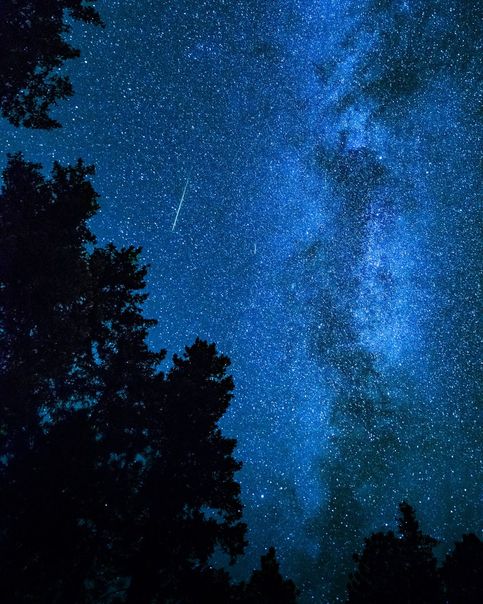 night sky 🌌