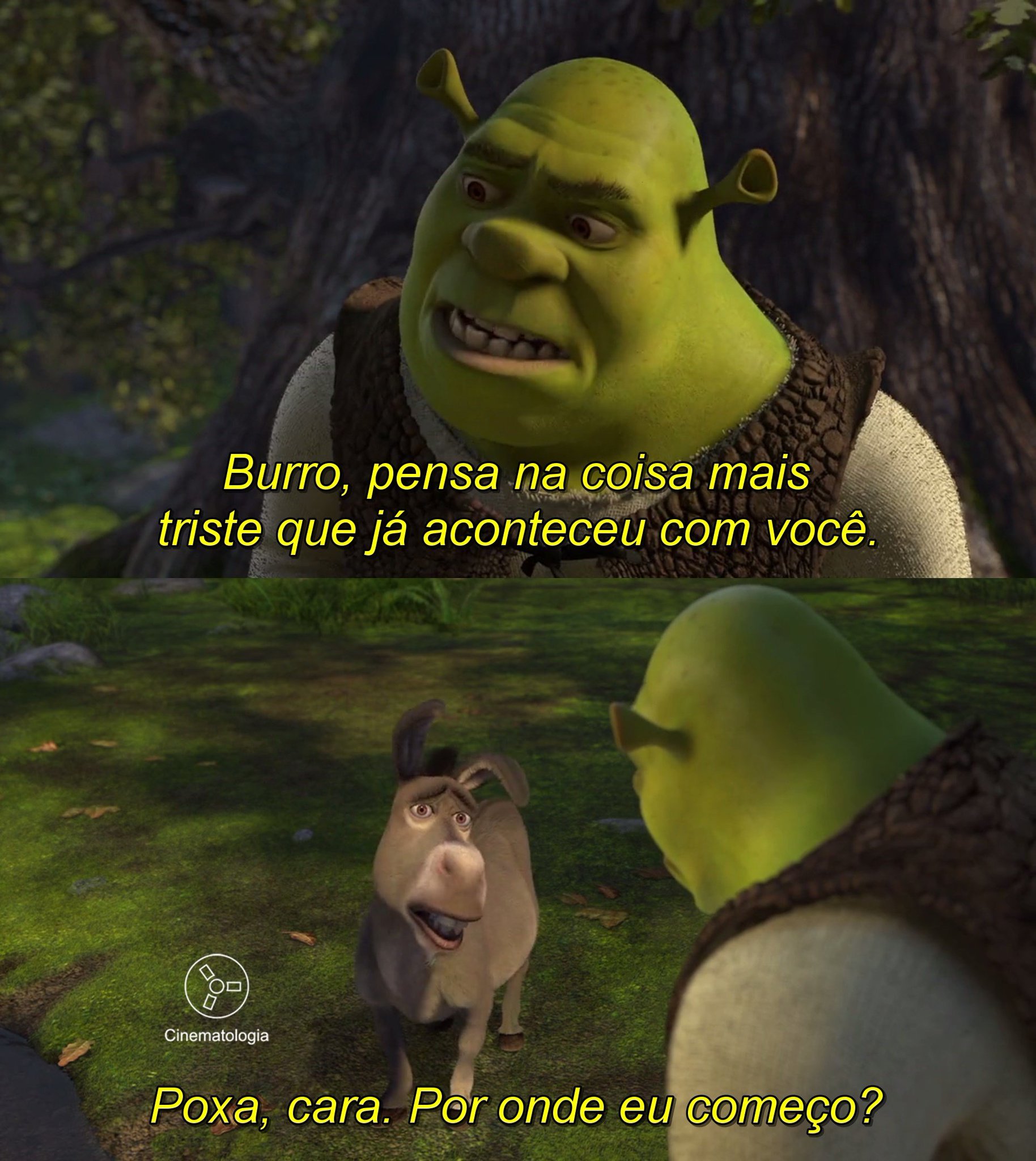 X 上的Lo Mío Es：「La triste realidad #Shrek  / X