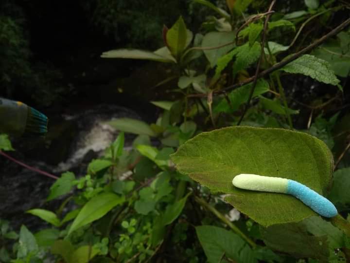 nature is healing 💚