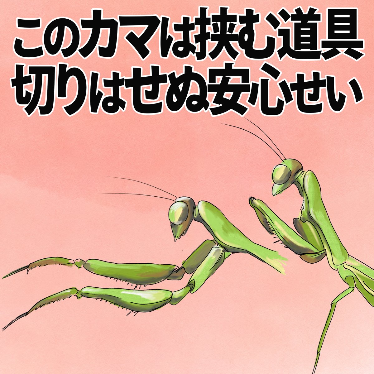 カマキリの鎌 】【乃りたけ】露染 食器 まとめ売り カマキリの鎌 様