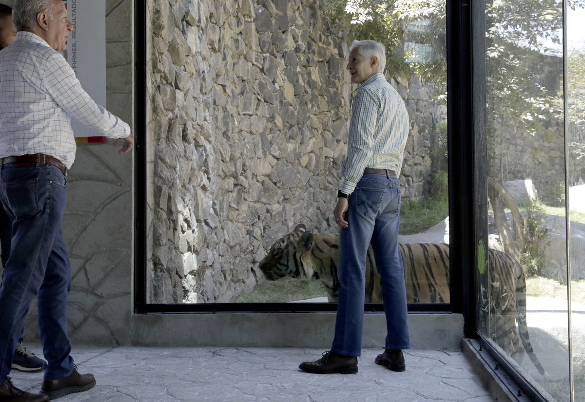 El Parque Ecológico Zacango ahora cuenta con nuevos espacios para aves, osos y felinos.