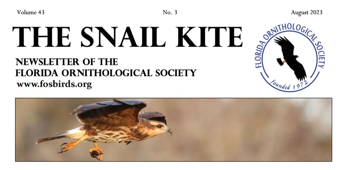 FOSBirds's tweet image. Hot off the press! The Florida Ornithological Society’s latest snail kite issue is now available on our website. Link can be found in the bio.