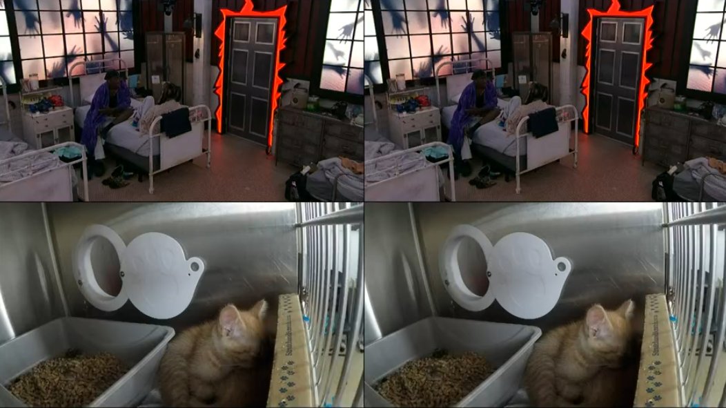 Jared's telling Blue he's no longer sharing info with Cory. Blue says the same thing with America. #BB25 

Also, why is there a pretty kitty on the bottom two cams?