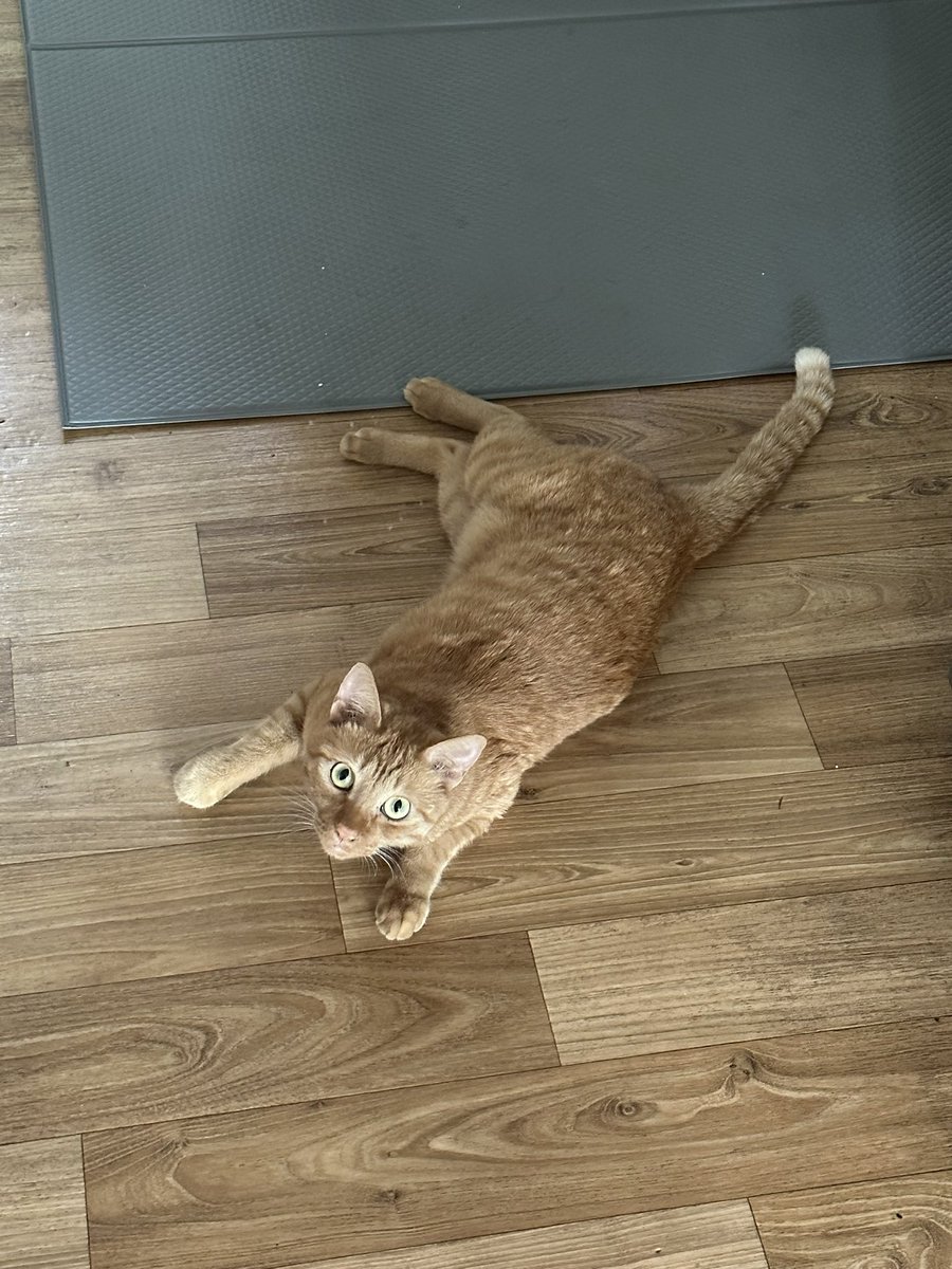 너무 오랜만에 올리는 애기 사진…