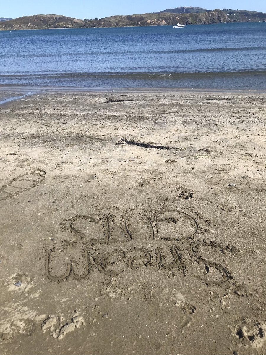 livshopeurok's tweet photo. #STREAMGUTS nature agrees https://t.co/Y4Wemob9bu