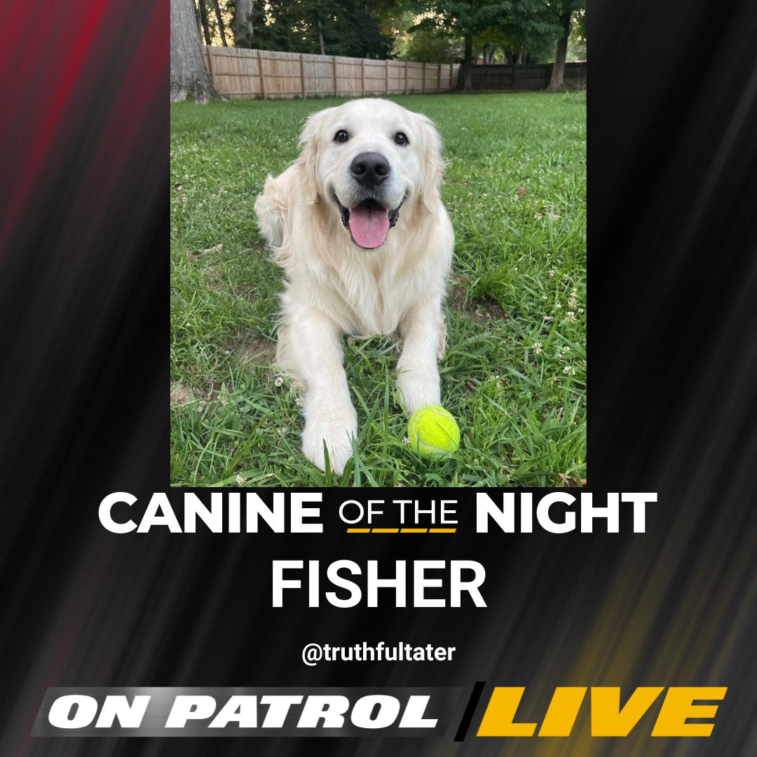 OfficialOPLive's tweet photo. Your #OnPatrolLive #CanineoftheNight is FISHER. Congratulations, @truthfultater. 

#OPLive #REELZ #OPNation https://t.co/xAAWhdaYzW