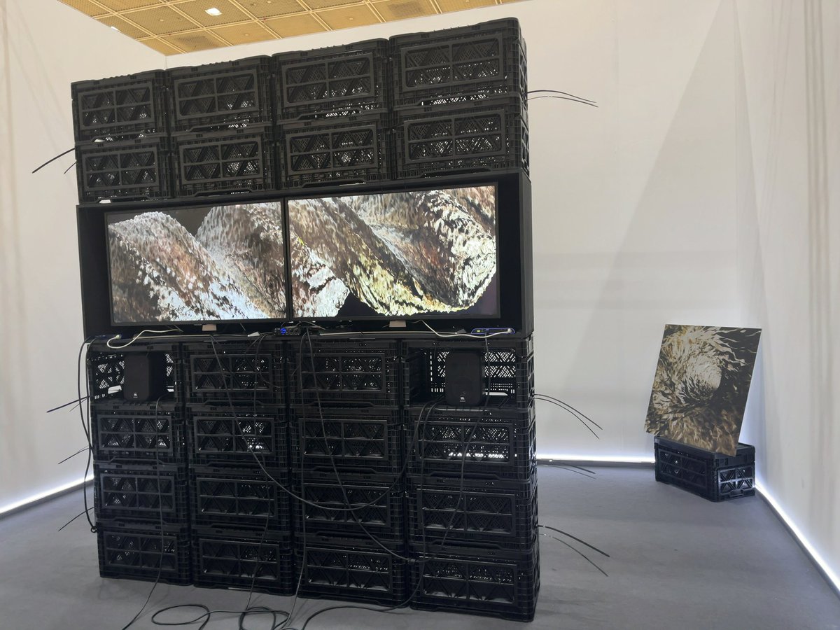 cryptoartfes22's tweet photo. Frieze Seoul https://t.co/ZRoED76OGQ