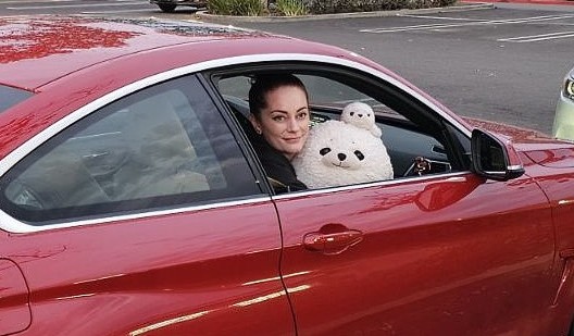 BMW_Monica's tweet photo. Took the seals out shopping 🛍️🦭 https://t.co/BNHgNgyi7B