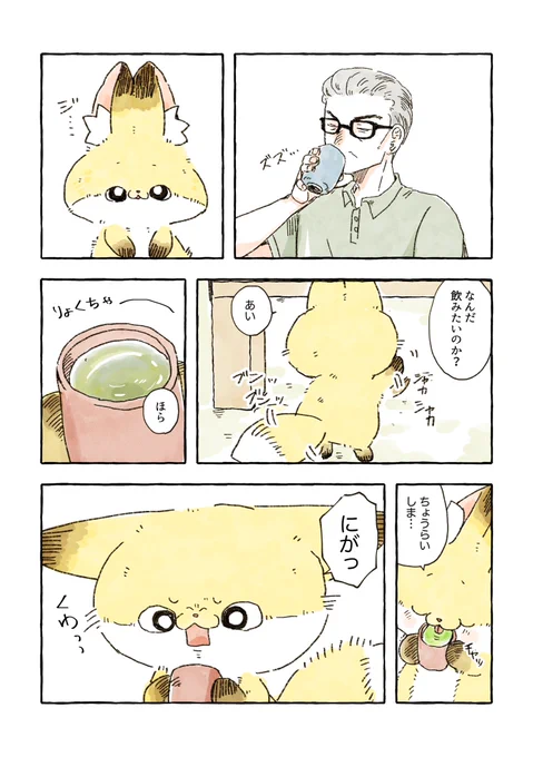 化けギツネのちくわと緑茶🍵