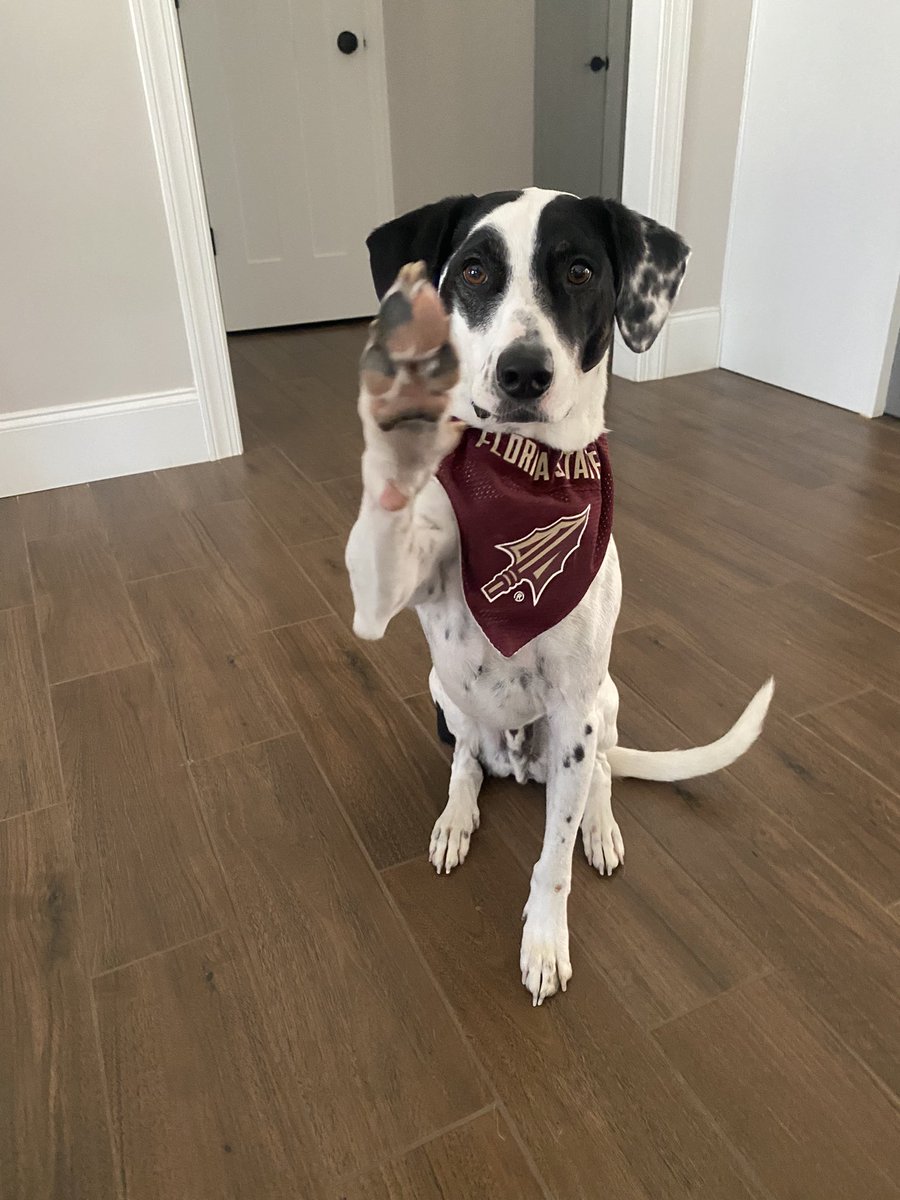 #FSU