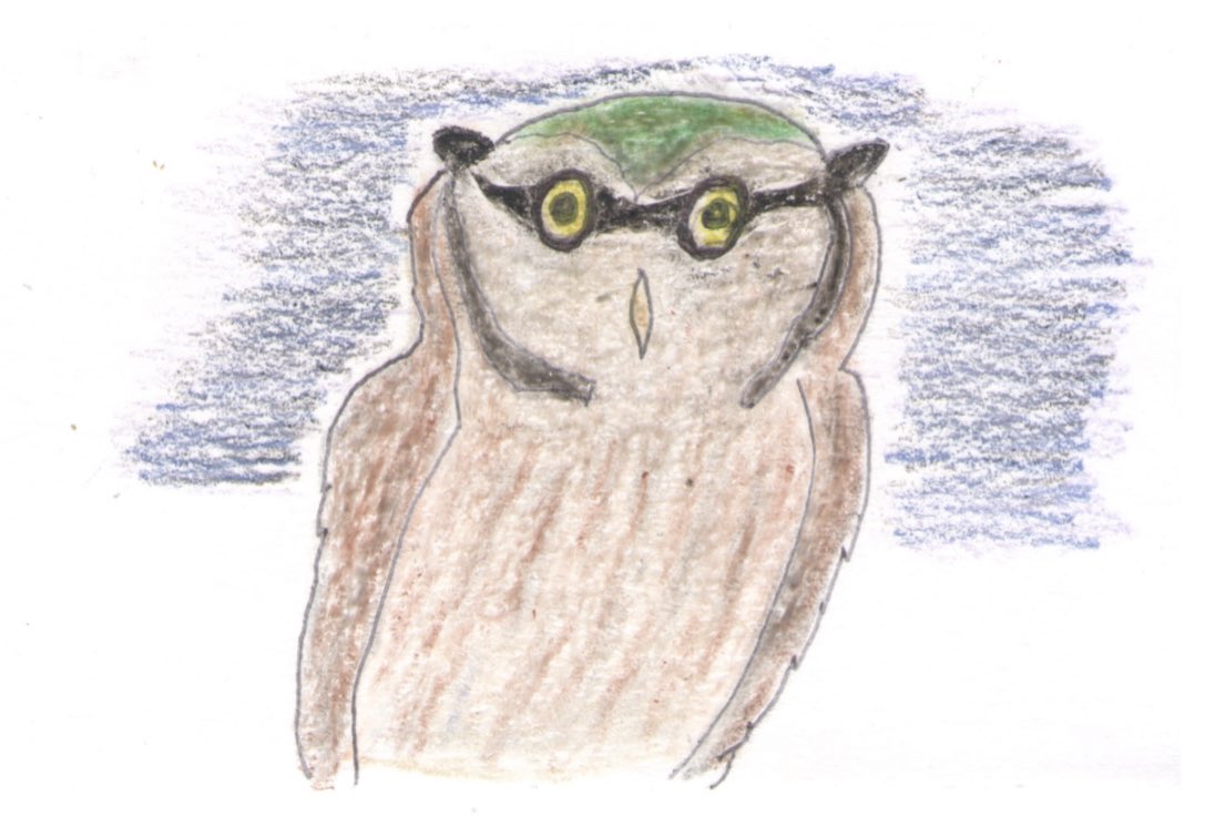 And finally an Inwood legend, Annabelle’s Owl #birdnamesforbirds