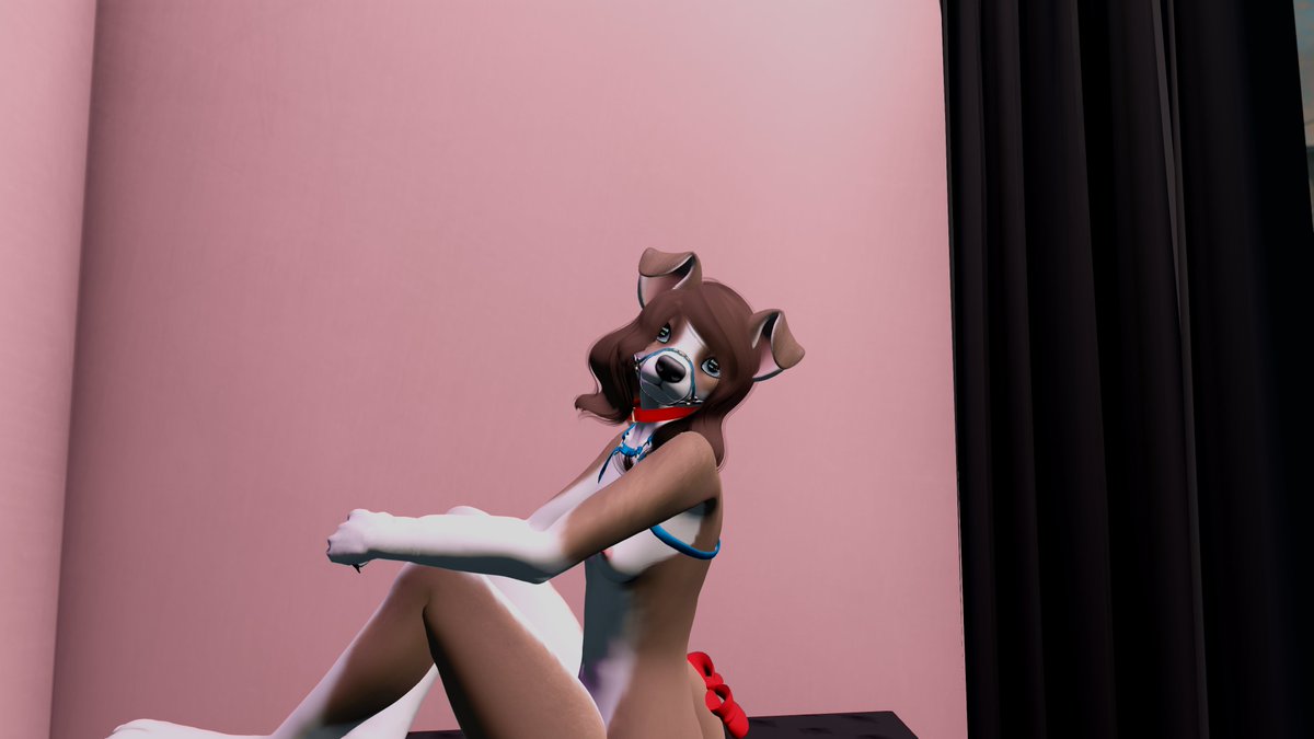 collie_alice's tweet photo. Photo booth pup #SecondLife #GoodPup #SecondLife https://t.co/Zb31FvmakW