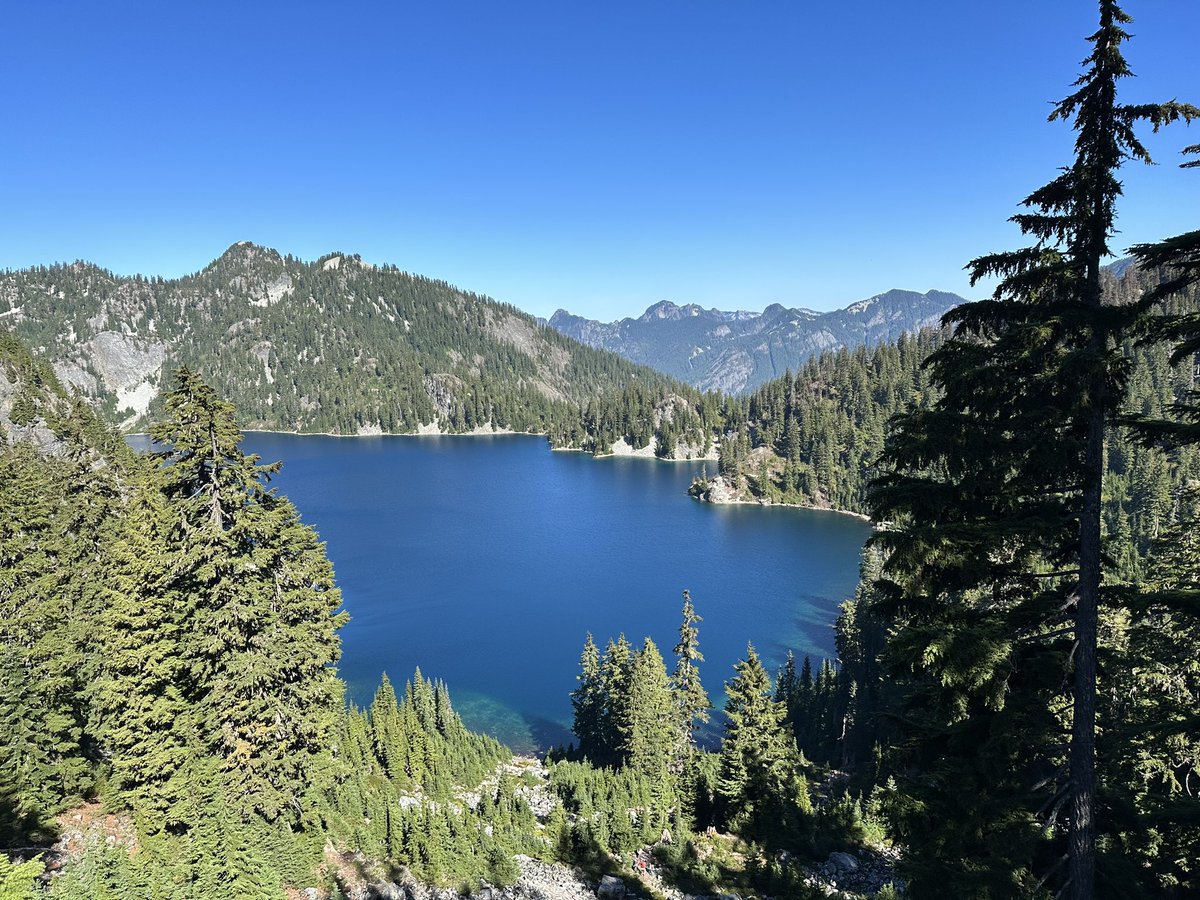 Christine Rehwald 🟧 tweet media