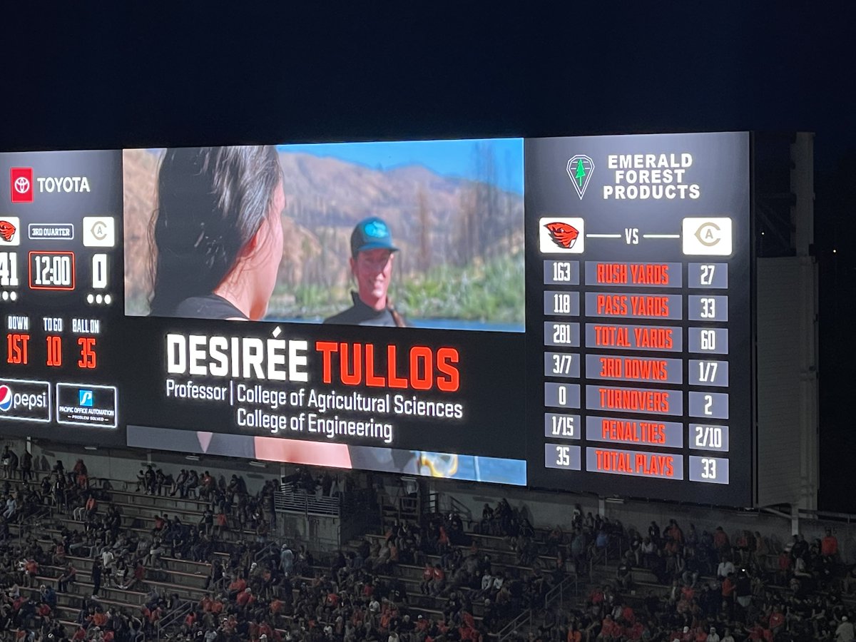 OregonStateBEE's tweet image. Our own @desiree_tullos was tonight’s featured researcher at the football game! A packed Reser Stadium celebrated her #water resources &amp;amp; dam removal research.

#GoBeavs #EcologicalEngineering