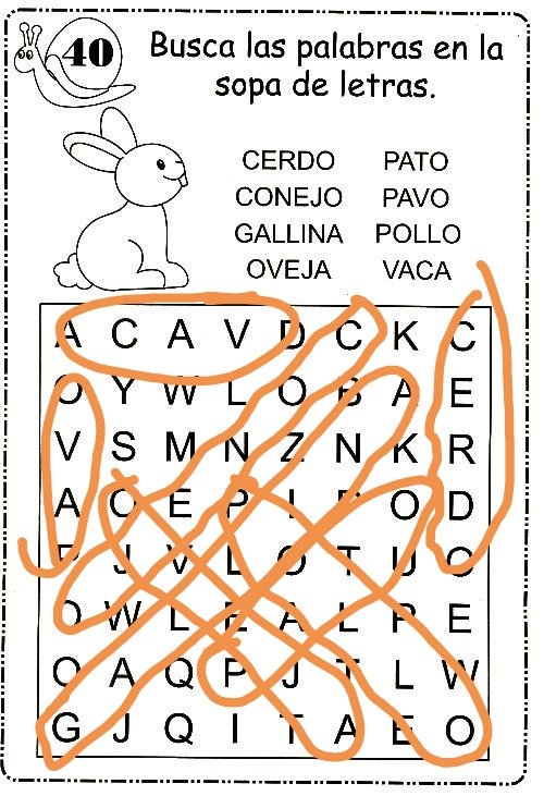 luvi.dubu tweet media