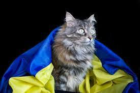 marillion13's tweet photo. #PawPowerForUkraine.
#PrayForUkraine #PeaceForUkraine #StandWithUkraine #UnitedWithUkraine #EndTheUkraineWar #FCKPutin.
😽😽😽🙏🙏🙏💖💖💖☮️☮️☮️
Good meowing to all f(ur)riends in #Ukraine and wherever else you live, #UkraineBeStrong.
@ZelenskyyUa https://t.co/0iBGR61PSA