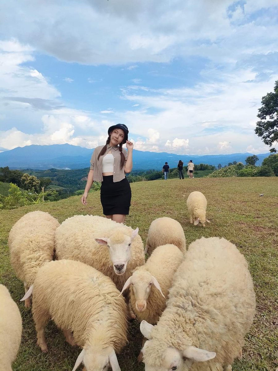 EEve22017486's tweet photo. คนที่เธอไปหลงรัก เขาใส่แน่งเป็นป่าว🙃 https://t.co/7ejLET1FkC